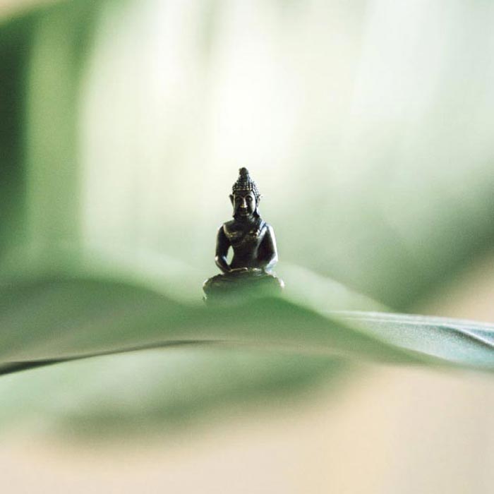 Statua del Buddha su foglia