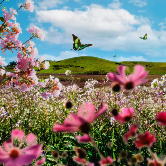 🌿✨ MAGGIO: L’ENERGIA DEL RINNOVAMENTO ✨🌿
Maggio ci invita a entrare in una fase di fioritura interiore ed esteriore.
🌙 Astrologia Alkemica: Con il Sole in Toro e l’ingresso dei pianeti in Gemelli, questo mese ci chiama a radicarci nella nostra verità interiore e a comunicare con leggerezza e chiarezza. È tempo di manifestare i nostri intenti più profondi.
🌱 Naturopatia: Supporta il tuo corpo in questo periodo di apertura energetica: scegli erbe depurative come tarassaco e ortica per sostenere fegato e reni. Nutriti di alimenti freschi, verdi e vitali per armonizzarti con l’energia rigenerante di Maggio.
🧘‍♀️ Meditazione: Coltiva uno spazio quotidiano di silenzio interiore, lasciando andare pensieri e tensioni. Prova una meditazione guidata sulla connessione con il cuore, per ascoltare i tuoi veri desideri e seminare intenzioni autentiche.
🙏 Yoga: Pratica posizioni che aprono il cuore, come Anahatasana (la posizione del cuore) o Bhujangasana (il cobra). Apriti con fiducia al flusso naturale della vita, lasciando che la tua energia vitale si espanda liberamente.
🌸 Affidati al ritmo di Maggio e scopri come corpo, mente e anima si armonizzano naturalmente, portando equilibrio e vitalità nel tuo quotidiano.
#sincronia #energiadimaggio #naturopatia #meditazione #yoga #benessere #consapevolezza #maggio