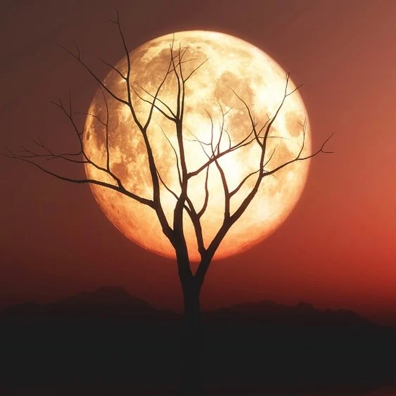 🌕✨ LUNA PIENA IN SCORPIONE - 12 MAGGIO ✨🌕
La Luna Piena in Scorpione porta con sé un’energia potente e trasformativa, perfetta per esplorare e rilasciare ciò che ci limita.
♏ Astrologia Alkemica: Questa luna ci guida nelle profondità della nostra anima, illuminando emozioni nascoste e verità profonde. Lo Scorpione, segno d’acqua governato da Plutone, rappresenta trasformazione, rinascita e guarigione. È il momento di lasciare andare vecchi schemi emotivi e abbracciare con coraggio la nostra autenticità più vera.
🌙 Energia e Simbolismo:
Trasformazione profonda e liberazione emotiva
Connessione con l’intuito e il potere personale
Purificazione delle energie stagnanti
Accogli l’intensità di questa Luna Piena per trasformare l’ombra in luce e risvegliare il tuo autentico potere interiore.
🌌 Sincronia è con te in questo viaggio di consapevolezza.
#luna #astrología #sincronia #trasformazione #purificazione #spirituale #consapevolezza #fyp