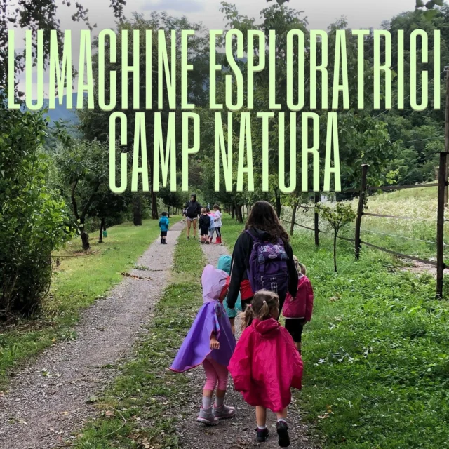 🌿✨Scopri il nostro progetto educativo!
Nel cuore della natura della Valle Brembana, i bambini vivono ogni giorno un’esperienza unica di crescita, esplorazione e connessione con l’ambiente. 🌱💚
📚Quest’anno ci accompagnerà Il Libro della Giungla, un racconto ricco di simboli, emozioni e valori autentici da vivere insieme.
📅 Vuoi saperne di più? Ti aspettiamo alla serata di presentazione del Lumachine Camp Estivo:
🗓 21 maggio
🕣 Ore 20.30
📍 Sincronia – Via XXIV Maggio 33, Zogno (BG)
Una serata aperta a tutti i genitori curiosi di conoscere il nostro camp immerso nella natura 🌻
#lumachine #educazione #pedagogia #vallebrembana #crescereinnatura #campestivo  #illibrodellagiungla #infanziafelice